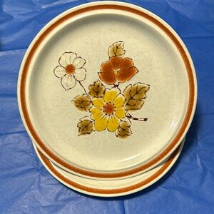 Set of 2 Vintage 70's Wild Poppy Stoneware Plates 8 inches Hand Decorated